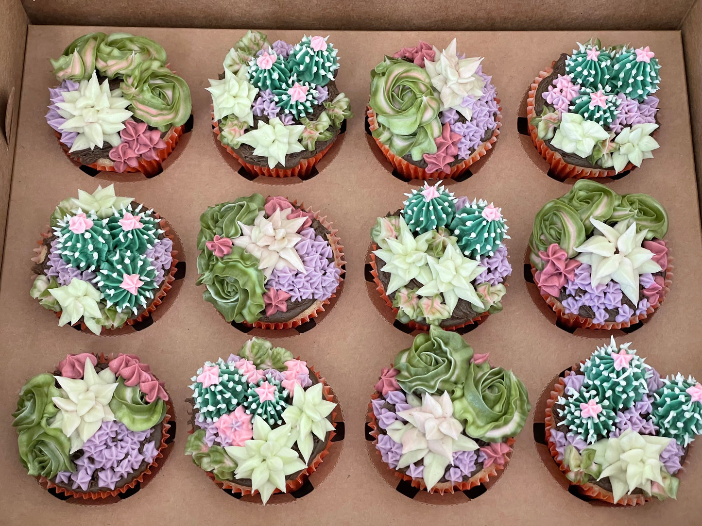 Succulent Cupcakes
